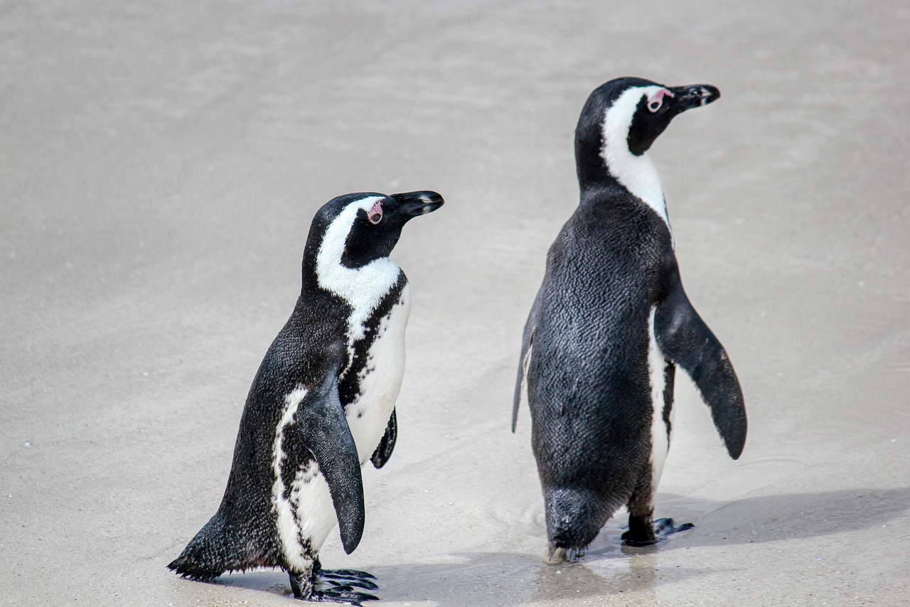 Linuxのペンギンマスコット